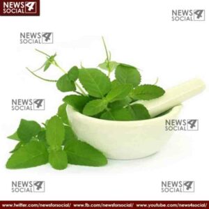 These remedies are helpful in cold 5