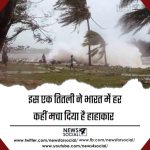 इस एक तितली ने भारत में हर कहीं मचा दिया है हाहाकार