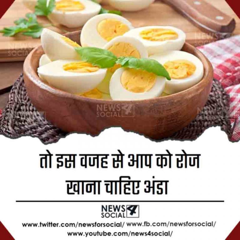तो इस वजह से आप को रोज खाना चाहिए अंडा