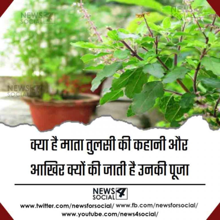 क्या है माता तुलसी की कहानी और आखिर क्यों की जाती है उनकी पूजा
