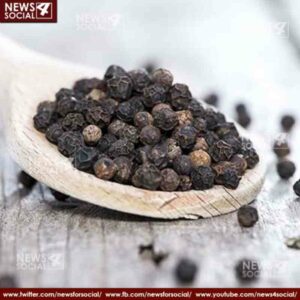 masala katha how lust for black pepper brought world to india 3