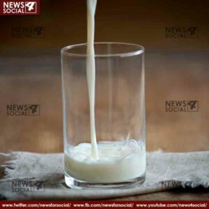 milk or curd which is more healthier 2