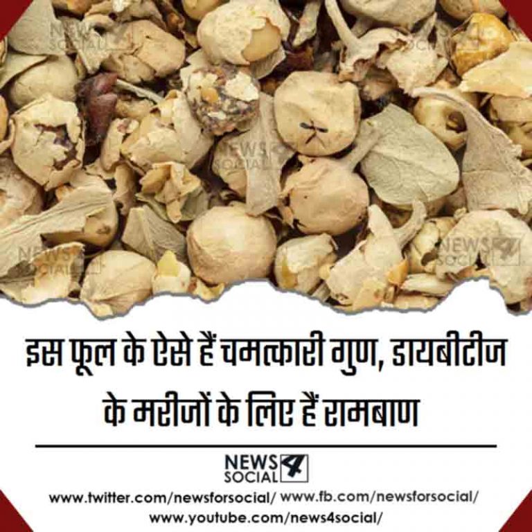 इस फूल के ऐसे हैं चमत्कारी गुण, डायबीटीज के मरीजों के लिए हैं रामबाण