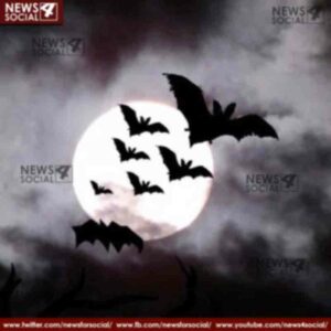 Bats are worshiped in this village know why 1