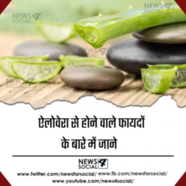 ऐलोवेरा से होने वाले फायदों के बारे में जाने