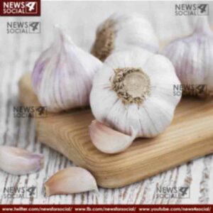 health benefits of eating raw garlic 6 news4social -