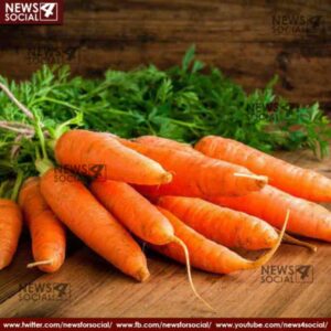 Carrots can be included in your diet a lot of benefits 4