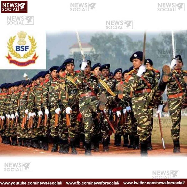 BSF jobs -