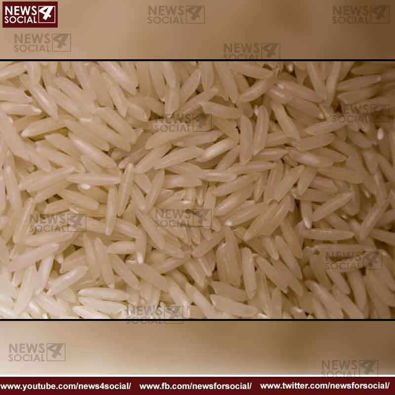 Brown Rice 2