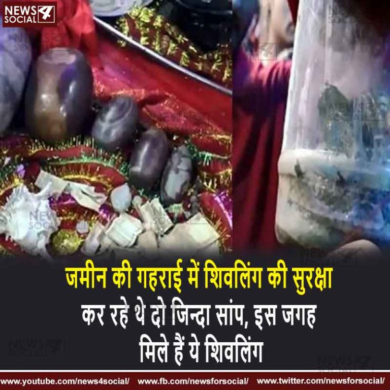 जमीन की गहराई में शिवलिंग की सुरक्षा कर रहे थे दो जिन्दा सांप, इस जगह मिले हैं ये शिवलिंग