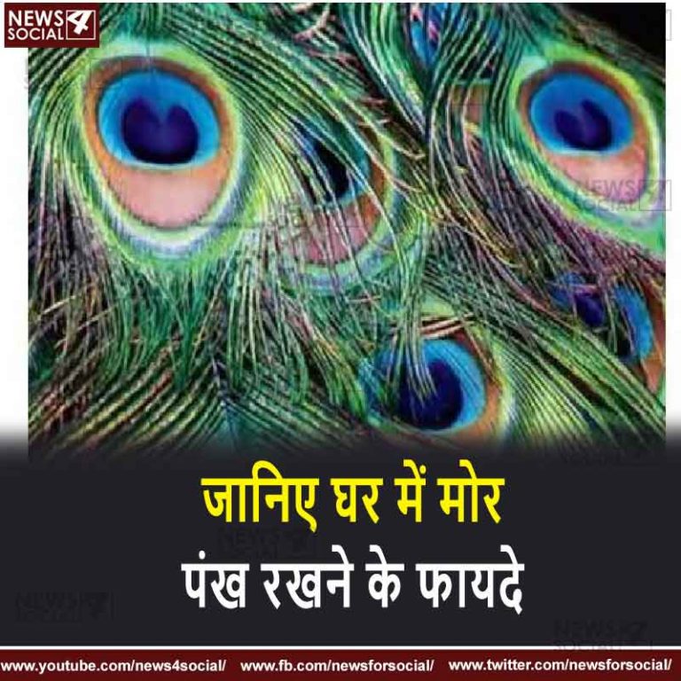 जानिए घर में मोर पंख रखने के फायदे