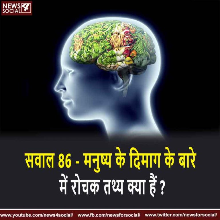 सवाल 86 – मनुष्य के दिमाग के बारे में रोचक तथ्य क्या हैं ?
