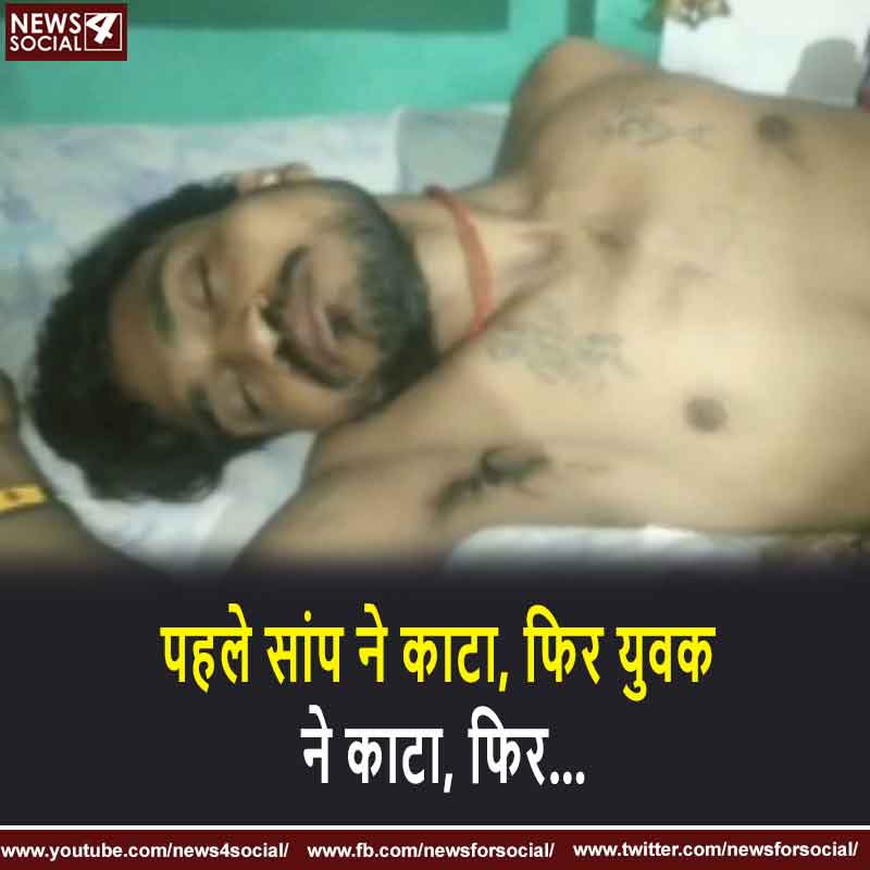 पहले सांप ने काटा, फिर युवक ने काटा, फिर...