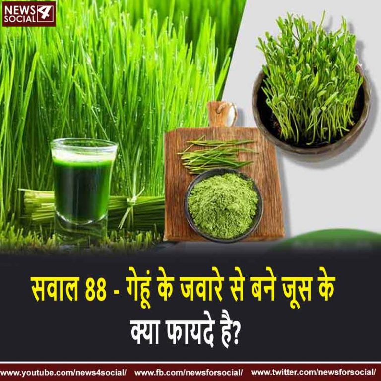 सवाल 88 – गेहूं के जवारे से बने जूस के क्या फायदे है?
