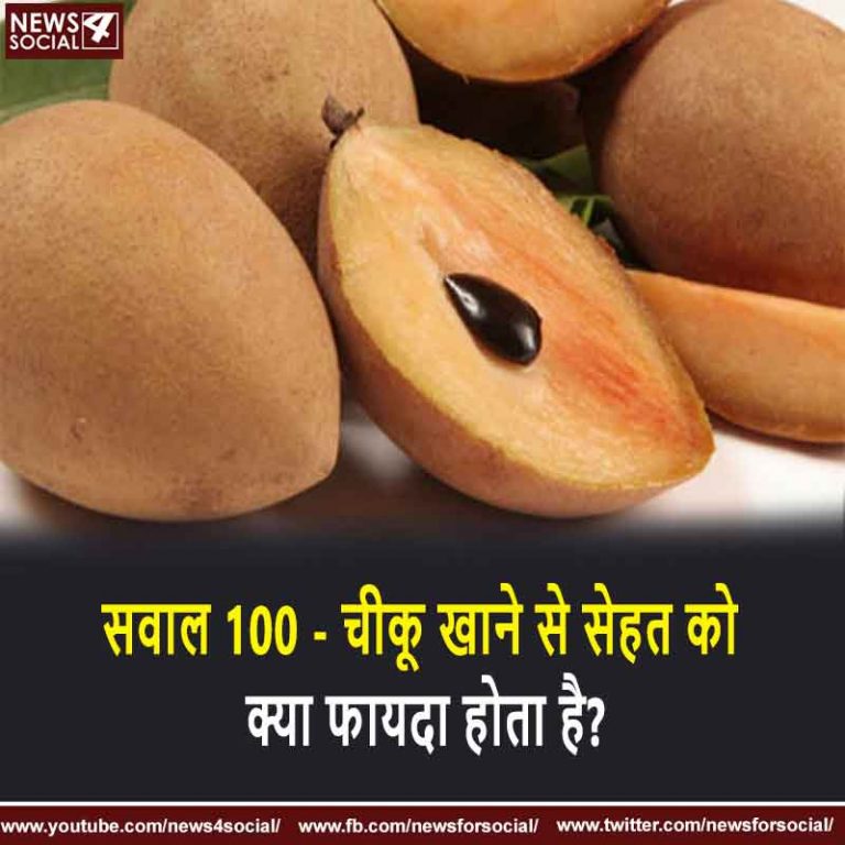 सवाल 100 – चीकू खाने से सेहत को क्या फायदा होता है?