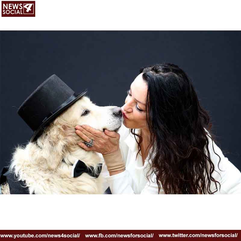 marriage with dog 1