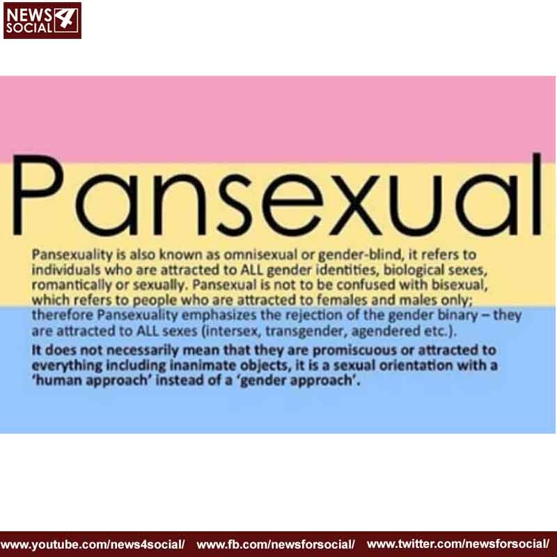 pansexuality 1 -