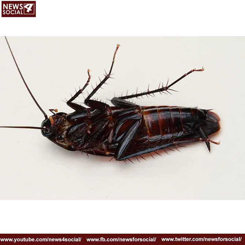 imgpsh fullsize anim 31 4