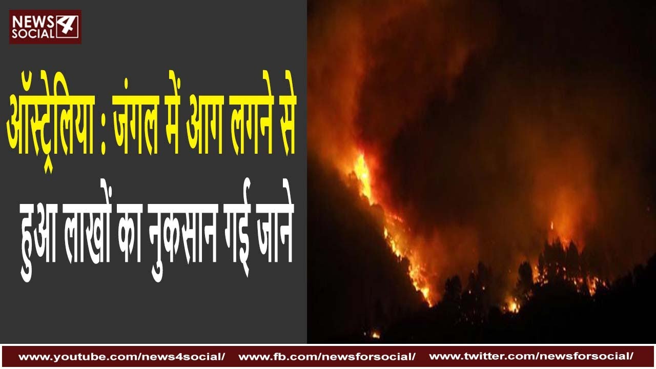 ऑस्ट्रेलिया : जंगल में आग लगने से  हुआ लाखों का नुकसान, गई कई जाने