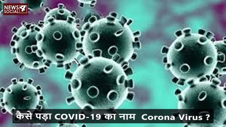 coronavirus meaning Hindi