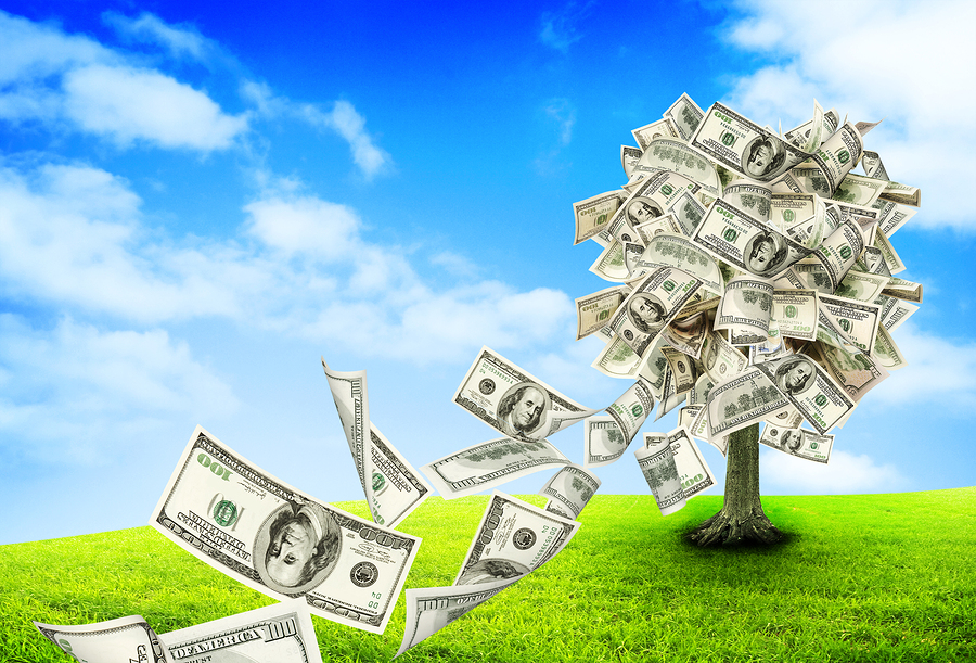 bigstock Money tree growing in the midd 68262727