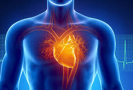 heart blockage treatment 