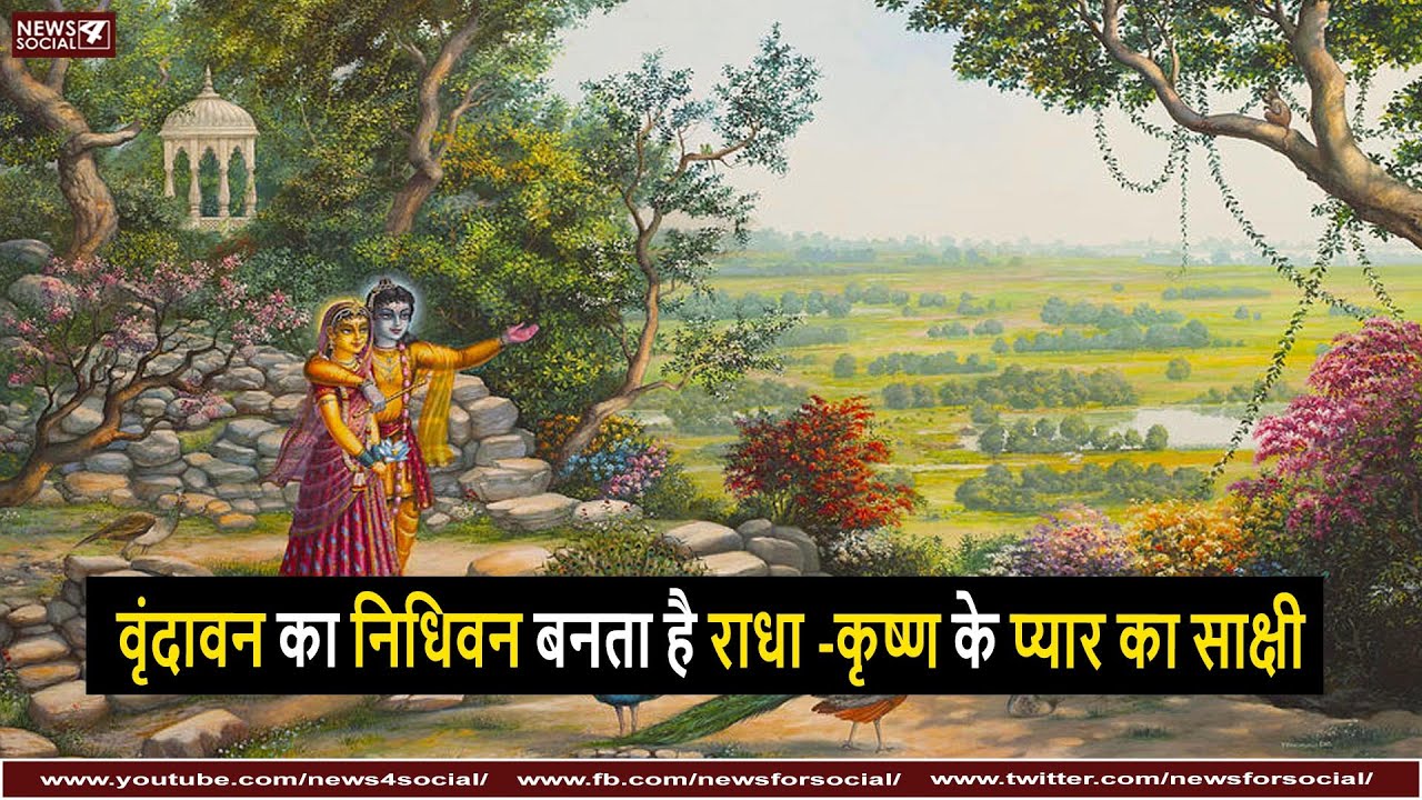 निधिवन का रहस्य जानकर आप भी रह जाएंगे दंग