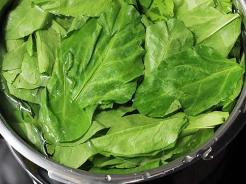 palak paneer 001