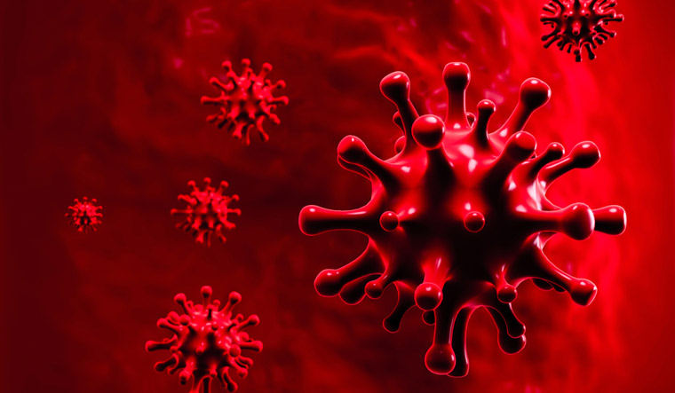 virus attack coronavirus COVID 19 shut -