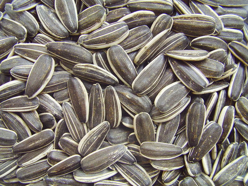 This image has an empty alt attribute; its file name is sunflower-seeds.jpg