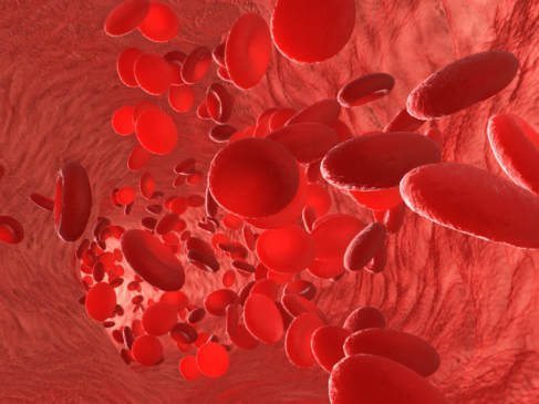 What is Hemophilia e1483390070687