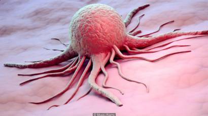 160622121550 vert earth cancer evolution 640x360 mopicalamy nocredit