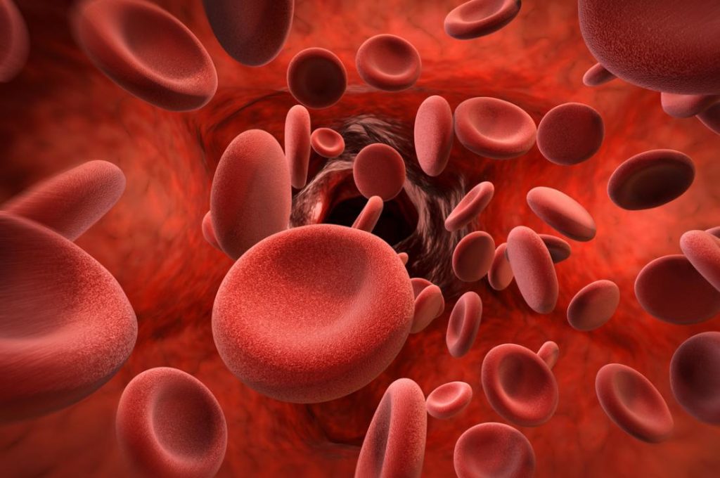 blood cells