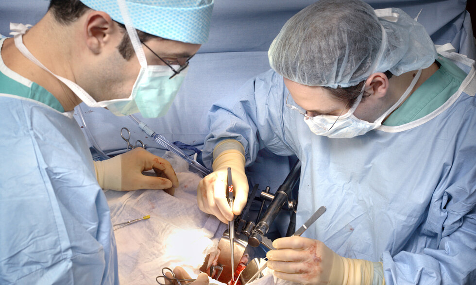 improvingorgandonation sm18
