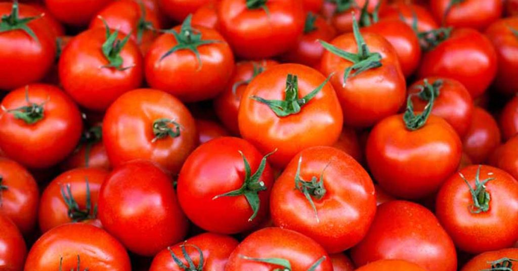 tomatoes 1200x628 facebook