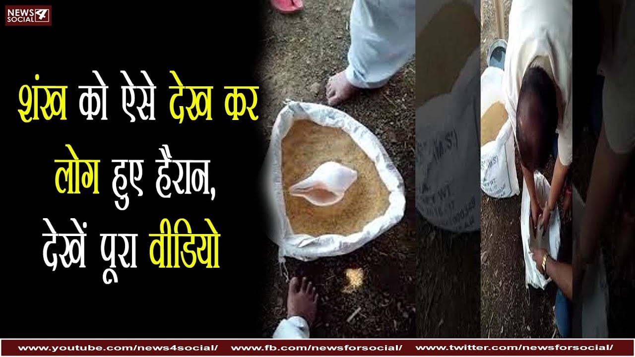शंख को ऐसे देख कर लोग हुए हैरान, देखें पूरा वीडियो