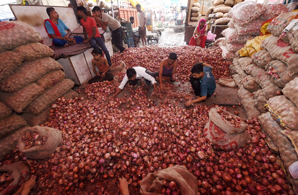 onion non