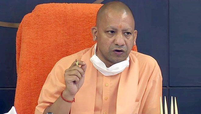 yogi non