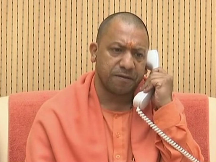 yogi non