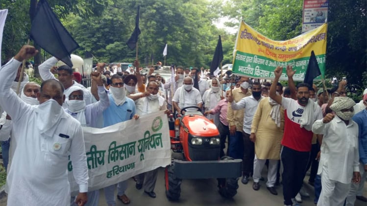 kisan non fiii 2