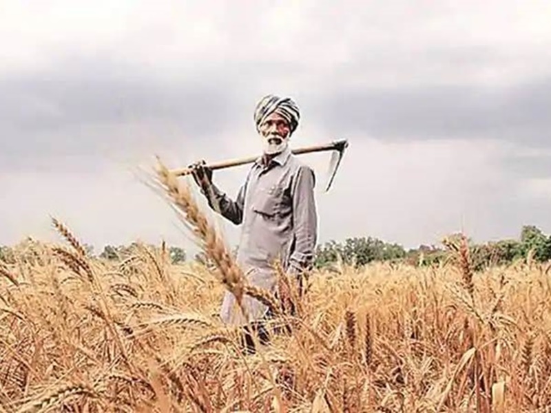 01 07 2020 kisan0107