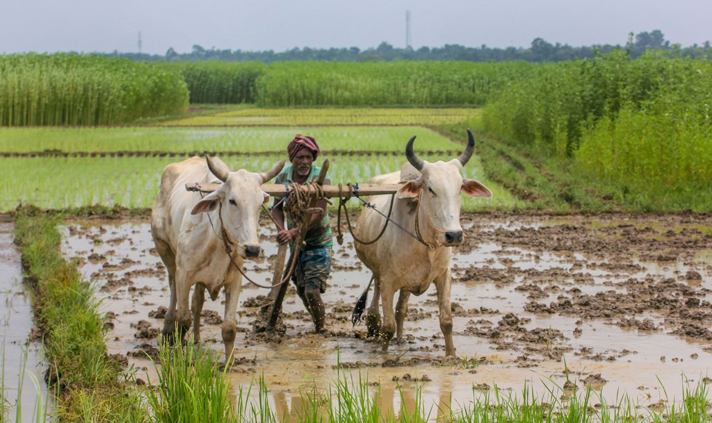 Farmers PTI7 9 2019 000060B