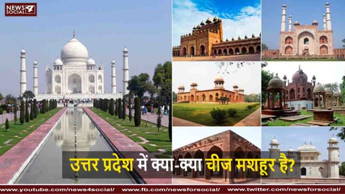 up fiiii news