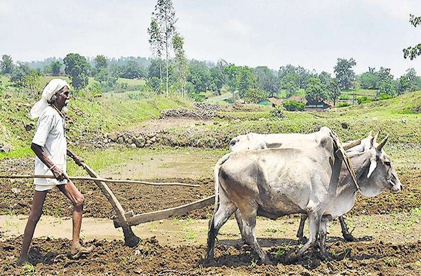 kisan 1 5431462 835x547 m