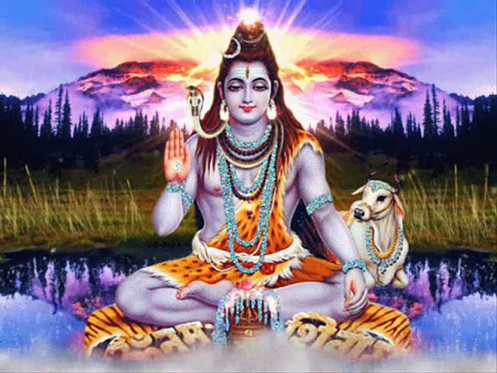 shiv non