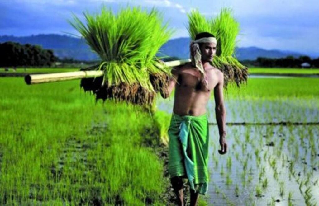 pm kisan yojana A