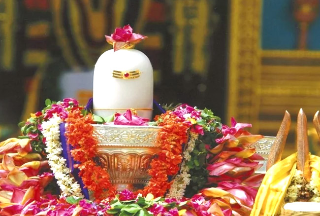 shiv 2018021410534435