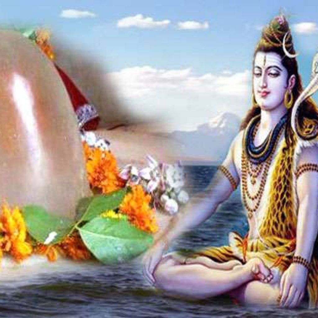 shiva non fiiii