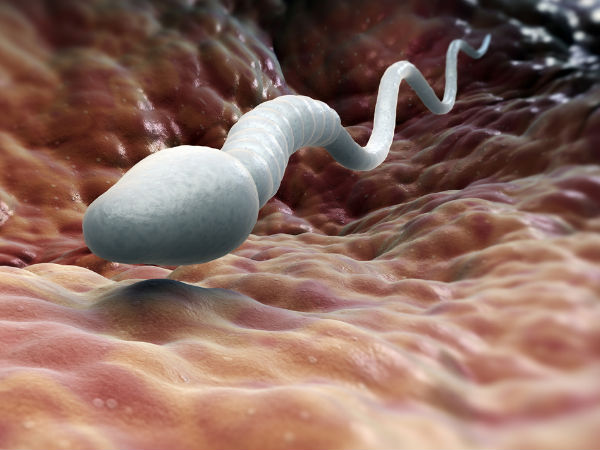 sperm non