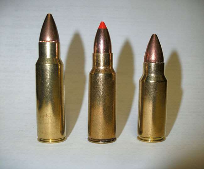 22 01 2020 gunshot 19960366 74441741